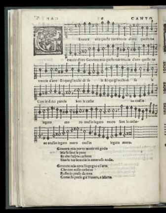 6. Geneura mia