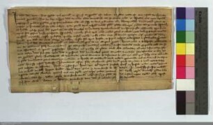 Ritter Wolpert Hobeherr von der Wenigenburg zu Amöneburg verkauft dem deutschen Hause bei Marburg die Hälfte seines Theiles der Vogtei und Gericht...