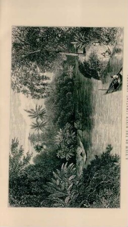 A view of the river Limatang, Sumatra
