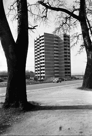 Freiburg; Landwasser: Hochhaus Nord; Vordergrund Baum