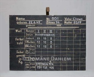 Stalltafel für Schweine