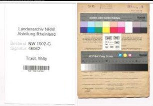 Entnazifizierung Willy Traut, geb. 06.12.1901 (Schneider)