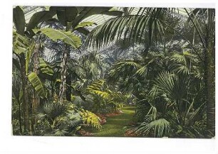 Neues Palmenhaus im Palmengarten in Frankfurt