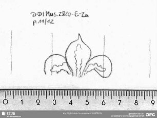 W-Dl-235 Lilie 1