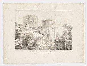 Vue du chateau de Loches