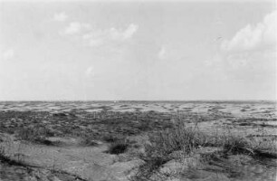 Ebene Landschaft : Blick über eine ebene Landschaft