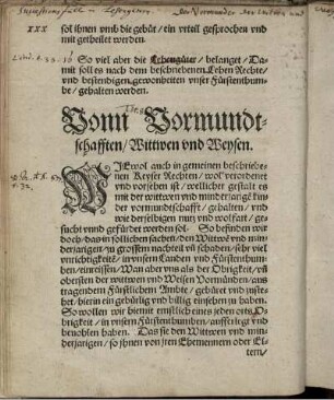 Vonn Vormundtschafften/ Wittwen und Weysen