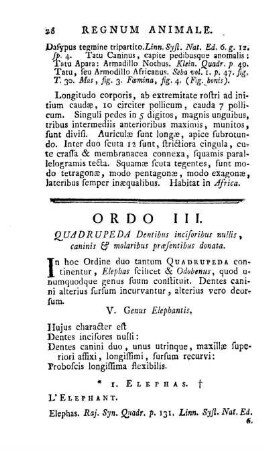 Ordo III. Quadrupeda Dentibus incisoribus nullis, caninis & molaribus praesentibus donata