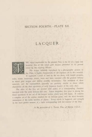 Plate XII. Lacquer