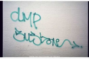 dMP BUSt one