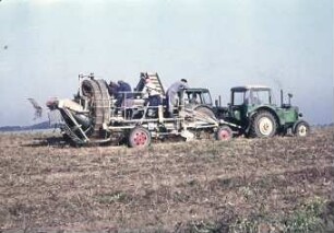 Kartoffelsammelroder Typ E 675 im Einsatz