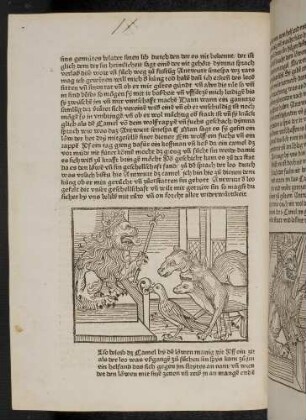 Der Löwe mit seinen drei Gefährten und das Kamel; (Kapitel II: Von dem Löwen und dem Ochsen)