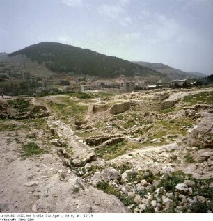 Israel: Sichem
