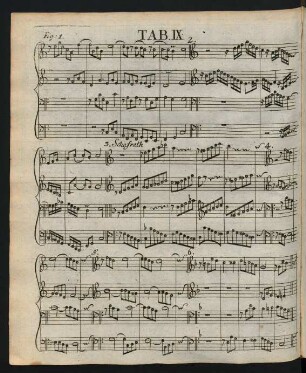 Tab. IX