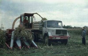 Fotografie: Feldhäcksler selbstfahrend, Maisgebiss, Parallelverfahren, LKW