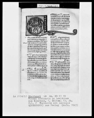 Liber Leviticus cum Glossa ordinaria — Initiale Q (uerendum) mit Drachencauda, Folio 2 recto