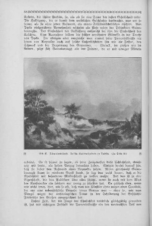 Abb. 67. Dünenlandschaft. Irische Nationalgalerie zu Dublin. (Zu Seite 98.)