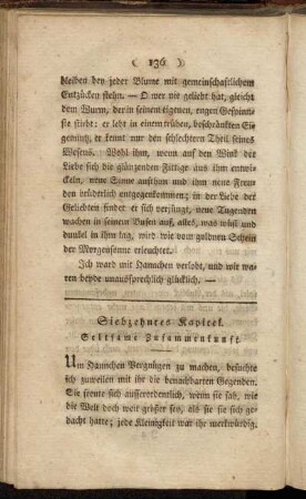 Siebzehntes Kapitel. Seltsame Zusammenkunft.