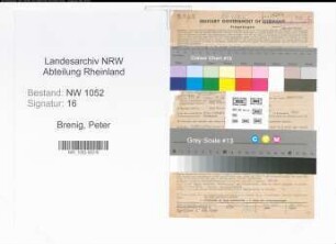 Entnazifizierung Peter Brenig , geb. 20.01.1883 (Kaufmaennischer Angestellter)