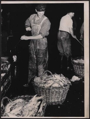 Mitarbeiter des Fischmarktes Hamburg-Altona