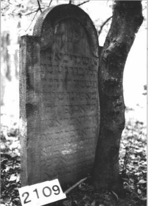 Grabstein 2109