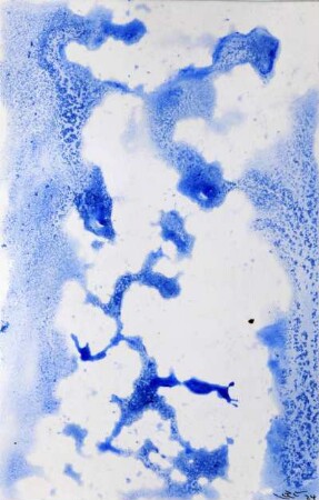 KU-CHEN # MCDXLIV - BLEUAILLE CCXXXIV: VOROSTERHASE