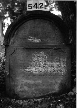 Grabstein 542 (Index: 99802748) Material: Sandstein Zustand: verwitt/Textverlust Maße HxBxT: 84x61x11 cm Beschreibung: Stele mit verdachtem Rundbogen, profilierter Rand; Giebelfeld Symbolik: Stern, Rosette: Grabstein 542
