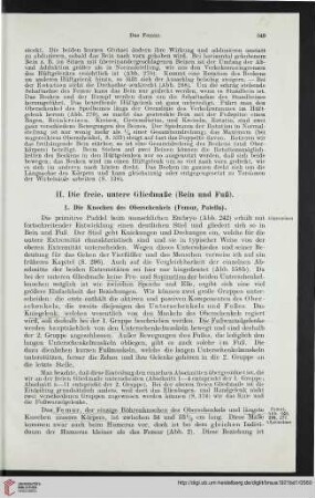 1: Die Knochen des Oberschenkels (Femur, Patella)