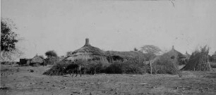 Dorf am Weißen Nil [Reise nach dem Sudan, Band 1]