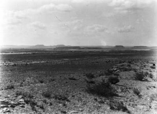 Landschaft östlich von Holbrock : Blick über eine ebene Landschaft