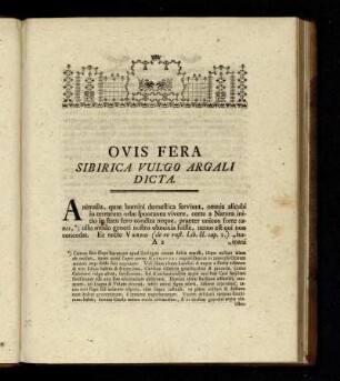 OVIS FERA SIBIRICA VULGO ARGALI DICTA.