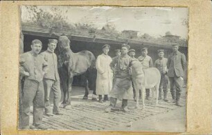 [Männer mit Pferd und Esel]
