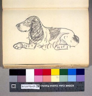 Der Cockerspaniel der Familie Schniewind