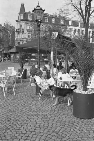 Frühlingstag am Ludwigsplatz