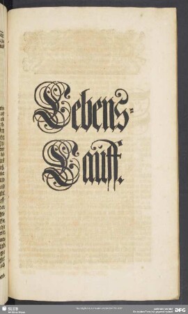 Lebens-Lauff