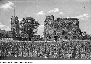 Turm der Boosenburg und Brömserburg : Bergfried der Boosenburg (Oberburg; 12. Jh.) und Brömserburg (Ersterwähnung 1124)