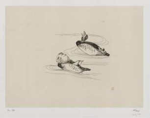 Enten, Blatt 5 der Folge "Service Grand Feu"