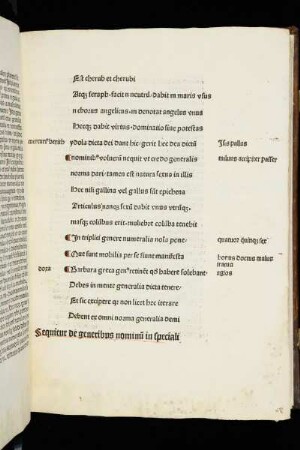 Sequitur de generibus nominu in speciali
