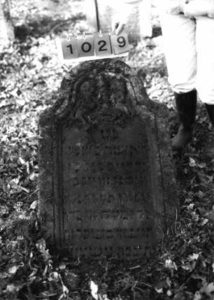 Grabstein 1029 (Index: 99751279) Material: Sandstein Zustand: leicht verwittert Maße HxBxT: 100x61x10 cm Beschreibung: Stele, eingezogener Rundbogenabschluß, Schriftfeld eingetieft Symbolik: Löwenpaar herschauend, eine Levitenkanne zwischen sich: Grabstein 1029