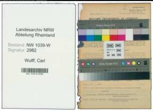 Entnazifizierung Carl Wulff , geb. 08.04.1901 (Chemiker)