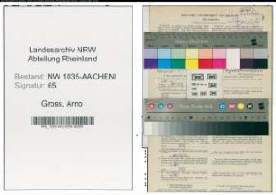 Entnazifizierung Arno Gross , geb. 04.01.1901 (Steiger)