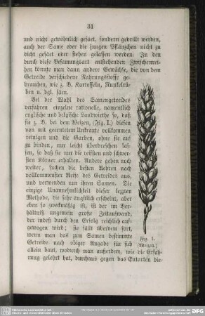 Fig. 1. (Weizen)