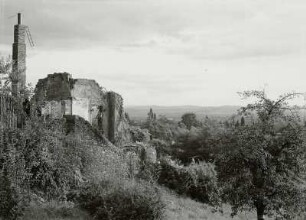 Dresden-Wachwitz, Josef-Hegenbarth-Weg. Ruine des alten Begerhäuschens