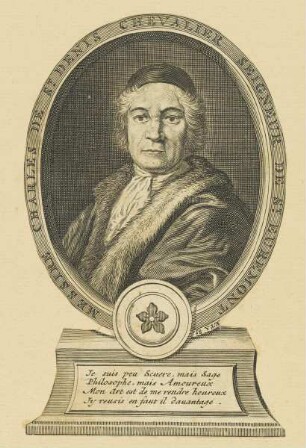 Bildnis des Charles de St. Denis
