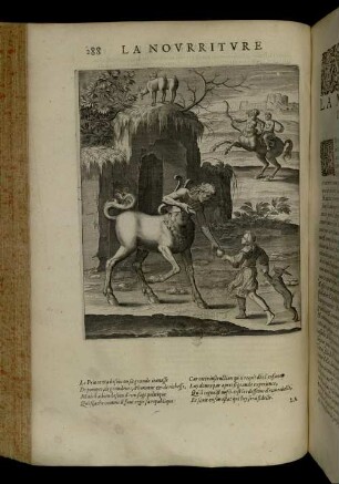 [Abbildung und Abbildungsbeschreibung] La Nourriture D'Achilles