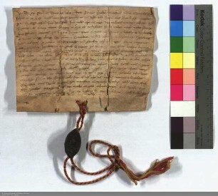 Theobaldus, eps. Cannensis, gewährt den Besuchern und Förderern der Elisabethkirche in Marburg einen 40tägigen Ablaß.