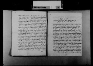 Schreiben von Bonifaz Maier, Sinsheim, an August Lamey: Bitte um eine Anpassung der Bezüge.