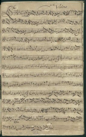 Violono.