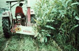 Fotografie: Futtererntetechnik, Maissilage, Maishäcksler angebaut