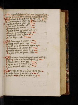 Registrum alphabeticum. Registrum alphabeticum huius libri ex passionale et etiam ex speculis historis[sic] Vincencii de virginibus et viduis tantum.